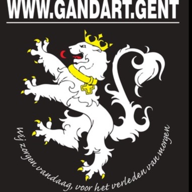 Woning Sint Salvatorstraat Gent