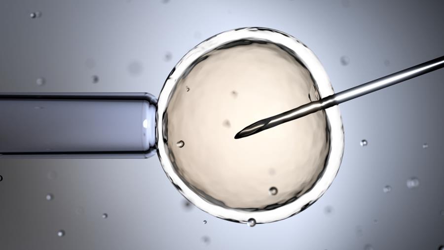 Maximumaantal vrouwen bij donorinseminatie: wet is onduidelijk